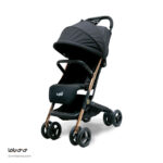 کالسکه دلیجان مدل مینی پرو - Image 5