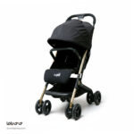 کالسکه دلیجان مدل مینی پرو