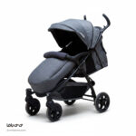 کالسکه دلیجان مدل ریو