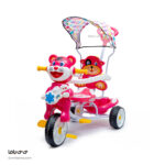 سه چرخه دلیجان مدل تایگر - Image 3