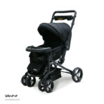 کالسکه دلیجان مدل بنیتا