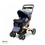 کالسکه دلیجان مدل بنیتا