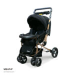 کالسکه دلیجان مدل بنیتا - Image 6