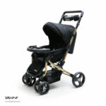 کالسکه دلیجان مدل بنیتا پرو