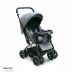 کالسکه دلیجان مدل 130 - Image 5