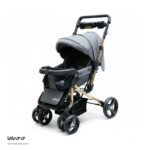 کالسکه دلیجان مدل بنیتا پرو - Image 3