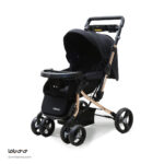 کالسکه دلیجان مدل بنیتا پرو - Image 5