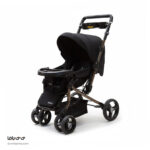 کالسکه دلیجان مدل بنیتا پرو - Image 8